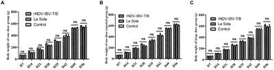 Safety evaluation of recombinant Newcastle disease virus expressing IBV multi-epitope chimeric live vaccine